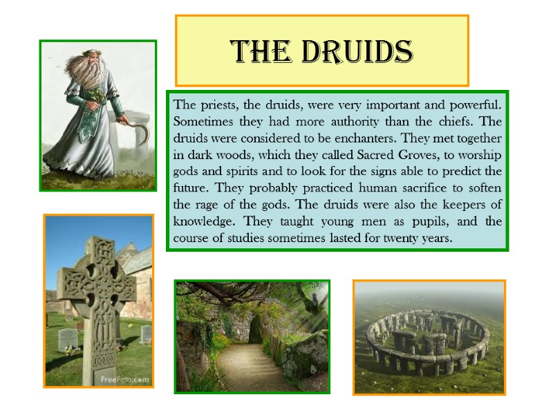 The druids The priests, the druids, were very important and powerful. Sometimes they had